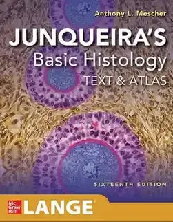Junqueiras Basic Histology Text Atlas 16th Edition By Anthony L Mescher - BOOKS N ARTS