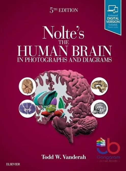 Book cover of 'Nolte's The Human Brain in Photographs and Diagrams' with brain illustration and colorful sections on a purple background.