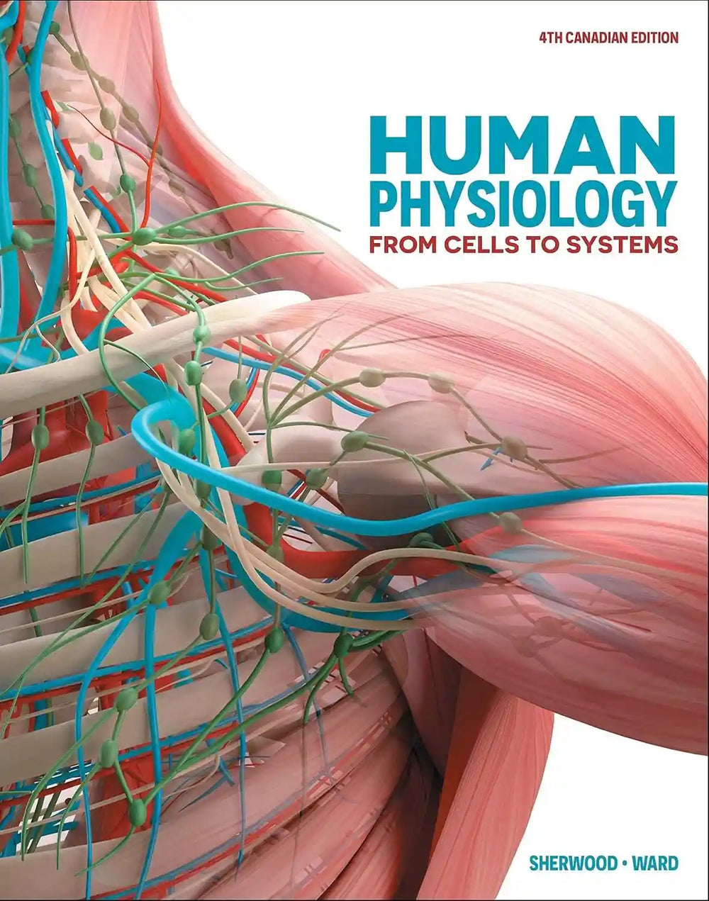 Book cover of 'Human Physiology from Cells to Systems' with anatomical illustration on a white background