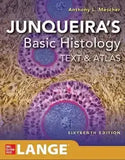 Junqueiras Basic Histology Text Atlas 16th Edition By Anthony L Mescher - BOOKS N ARTS 