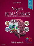 Book cover of 'Nolte's The Human Brain in Photographs and Diagrams' with brain illustration and colorful sections on a purple background.