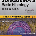 Junqueira Basic Histology Text & Atlas 16th Edition by Anthony L. Mescher